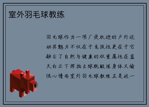 室外羽毛球教练